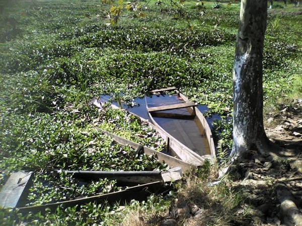 Humedales destruidos por indiferencia y corrupción de autoridades del medio ambiente/ Fco de Luna