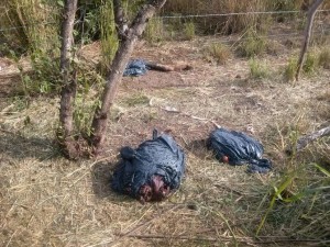 Siguen las ejecuciones en centro de Veracruz/ agencias