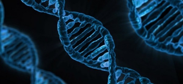 dna-163466_640-864x400_c