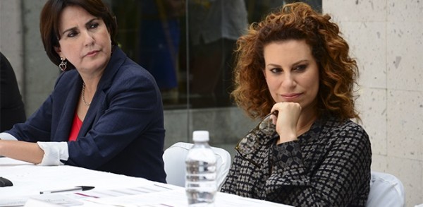 "Alerta de Género es un tema que no me corresponde decidir", dijo