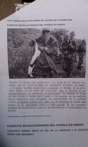 Grupo guerrilleros se anuncia en la sierra de Veracruz