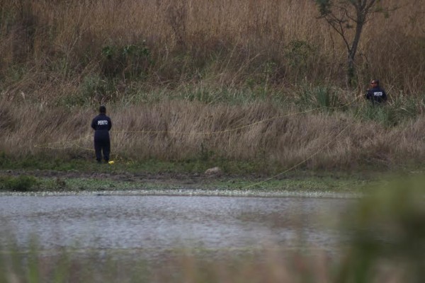 Sólo llevaron cinta para medir el lugar/ Plumas Libres 