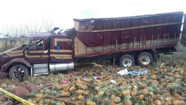 Este accidente cobró la vida de personas trabajadores en el cultivo de la Piña, alcaldesa Amanda de Gasperín no mandó ni el pésame/ Agencias