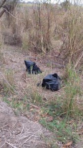Continúan asesinando y descuartizando