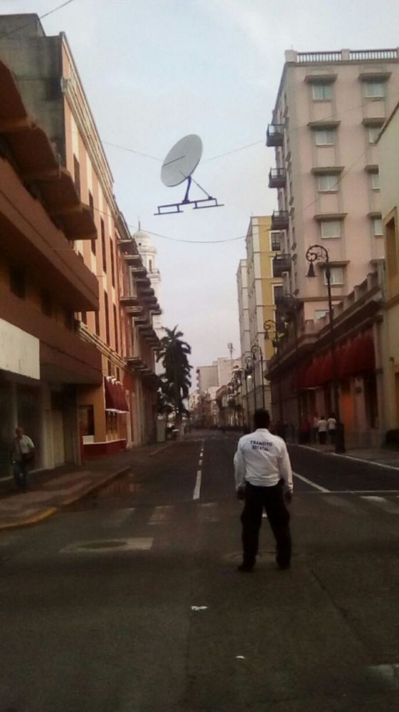 La ante estuvo a apunto de caer/Plumas Libres