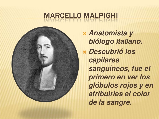 Un 10 de Marzo nació el biólogo italiano Marcello Malpighi - Plumas Libres