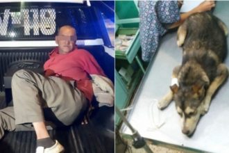 Trasladan a penal a violador de perrita
