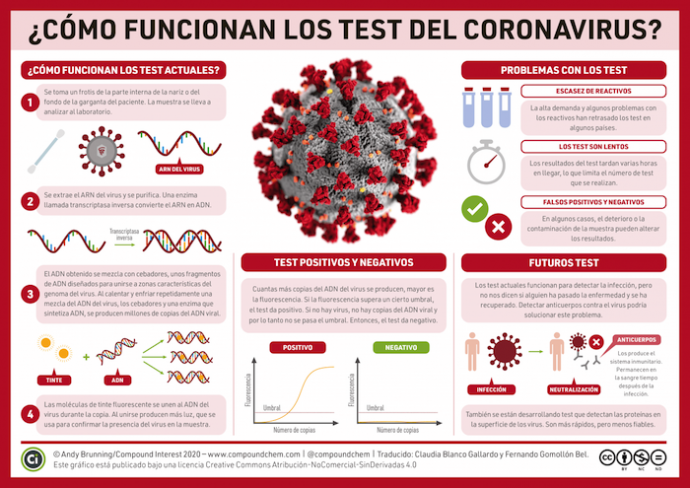 Las fases del Covid-19 en tu cuerpo: infecciÃ³n, encubaciÃ³n